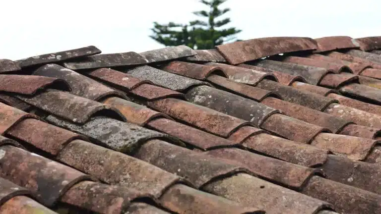 Clay roof tiles