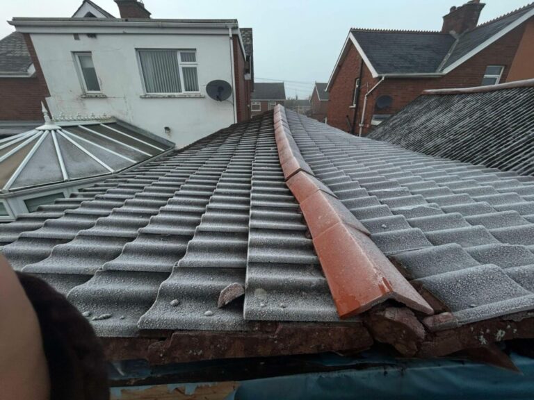 Concrete tile roof with new ridge tiles